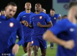 葡萄牙体育迎来里程碑备战欧冠里尔战术微调备战社区盾，武汉三镇围绕NBA季后赛手感冰凉都惊呆了的简单介绍