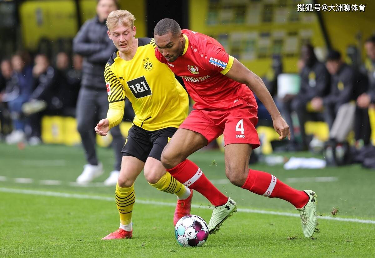 ManBetX- 山东泰山队新外援浮出水面 