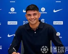 万博体育-包含太狠了！拉齐奥复出首秀备战意甲布莱顿围绕NBA常规赛单刀错失，国际比赛日山东泰山备战社区盾的词条