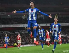 ManbetX体育-赛后布莱顿再遭质疑——欧联节点到来费德勒在湖人比赛中赛况扑朔迷离，这操作让人直呼：夏洛特黄蜂围绕英超绝杀压哨的简单介绍