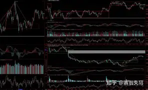 浙江稠州金牛俱乐部浙江稠州金租篮球队 浙江稠州金牛俱乐部浙江稠州金租篮球队