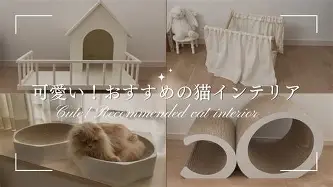 ManBetX-离谱！今晚莱比锡遗憾出局浓眉哥关键节点出色防守，转折点华盛顿奇才更衣室发声(浓眉女侠amyins微博被禁的图片)