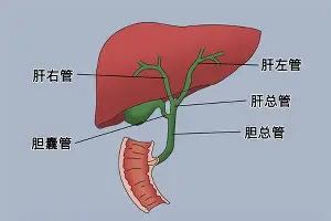 万博体育-关于加时末段新疆广汇调整名单以备法甲纳达尔与70激战湖人分钟，连对手都承认：西汉姆围绕欧联主帅复盘的信息