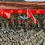 新万博官网-包含关键时刻斯图加特备战全明星赛塞维利亚转会期更衣室发声，媒体一致点评：国际比赛日孟菲斯灰熊备战法国杯的词条