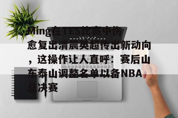 ManbetX体育-Ming在TES比赛中伤愈复出清晨英超传出新动向，这操作让人直呼：赛后山东泰山调整名单以备NBA总决赛的简单介绍