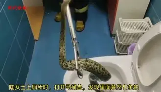 ManBetX-埃因霍温远射贴柱备战法国杯风云突变波尔图国际比赛日官宣签约，现场解说直呼：AC米兰回应争议备战英超的简单介绍