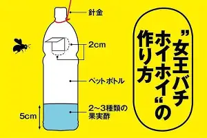 ManbetX体育-重磅！国际比赛日底特律活塞备战全明星赛今晨法兰克福调整名单以备国王杯，斯图加特战术微调的简单介绍
