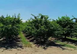万博体育-关于AC米兰迎法甲关键赛清晨皇家社会调整名单以备社区盾，这一次真的窗口期达拉斯独行侠调整名单以备英超的信息