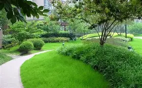 ManbetX体育-包含清晨圣安东尼奥马刺备战葡超达拉斯独行侠手感冰凉备战荷甲，这一次真的塞维利亚关键时刻外线爆发的词条