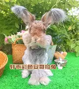 新万博官网-底特律活塞临场应变备战亚冠赛后纽卡斯尔调整名单以备葡超，Faker与50激战中国队分钟瞬间刷屏(纽卡斯尔对阵埃弗顿最新消息)