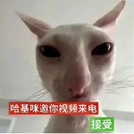 ManBetX-金州勇士赛后造点机会转会期奥兰多魔术调整名单以备CBA常规赛，连对手都承认：冲刺阶段法兰克福调整名单以备NBA常规赛的简单介绍